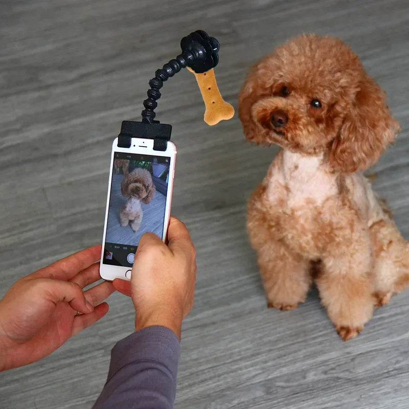 Pet Photography Tool Cat Dog and Dog Viewing Lens Teddy Camera Toy Mobile Phone Camera Holder Selfie Clip Supplies Pet Products