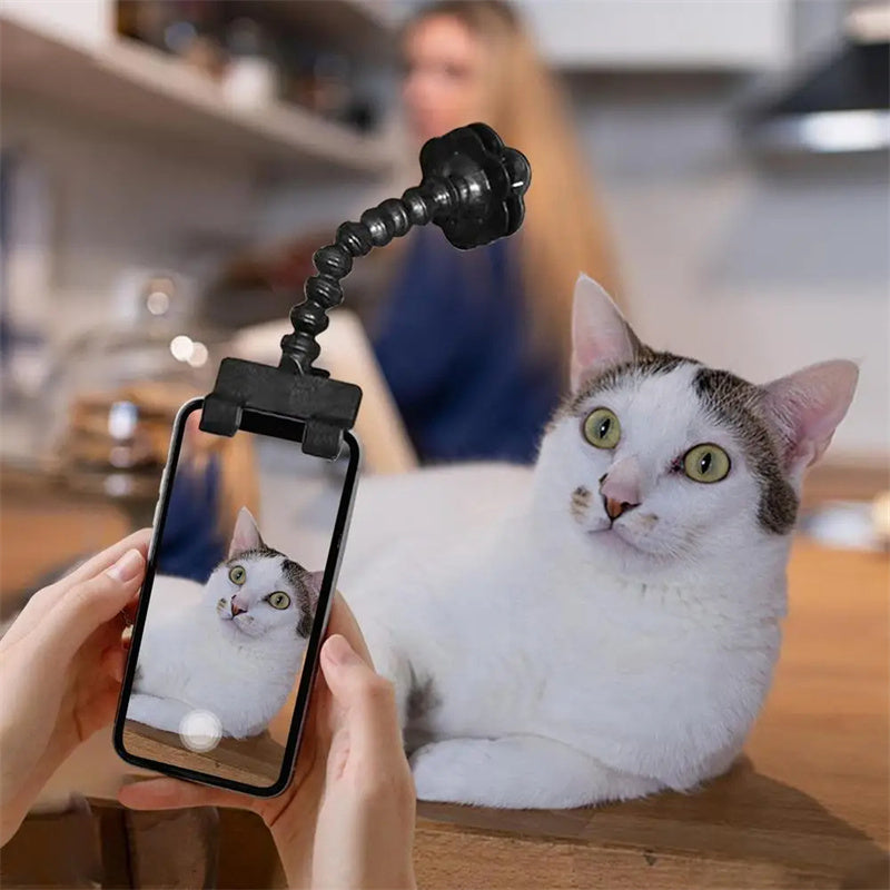 Pet Photography Tool Cat Dog and Dog Viewing Lens Teddy Camera Toy Mobile Phone Camera Holder Selfie Clip Supplies Pet Products
