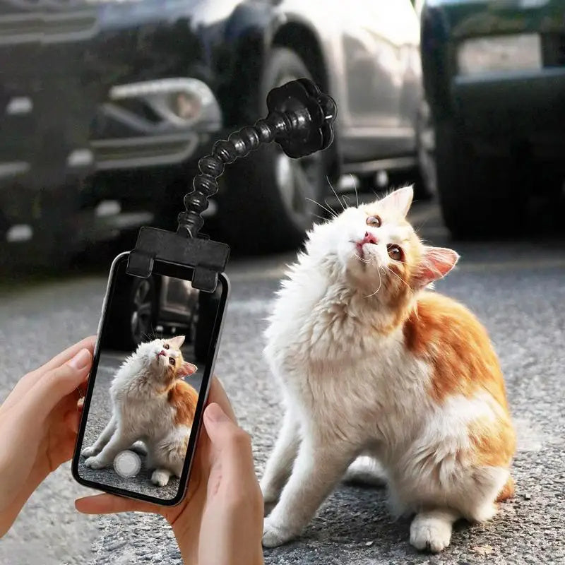 Pet Photography Tool Cat Dog and Dog Viewing Lens Teddy Camera Toy Mobile Phone Camera Holder Selfie Clip Supplies Pet Products